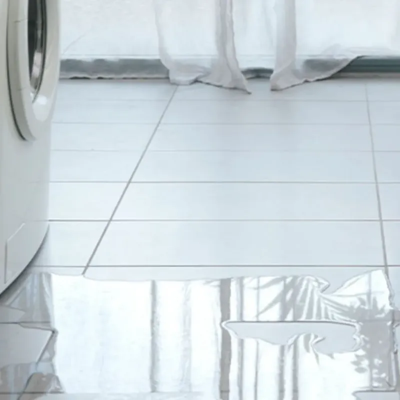 Appliance Leak Cleanup in Crawford County, MI
