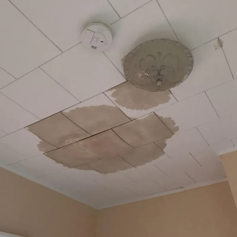 Ceiling Water Damage Repair in Crawford County, MI