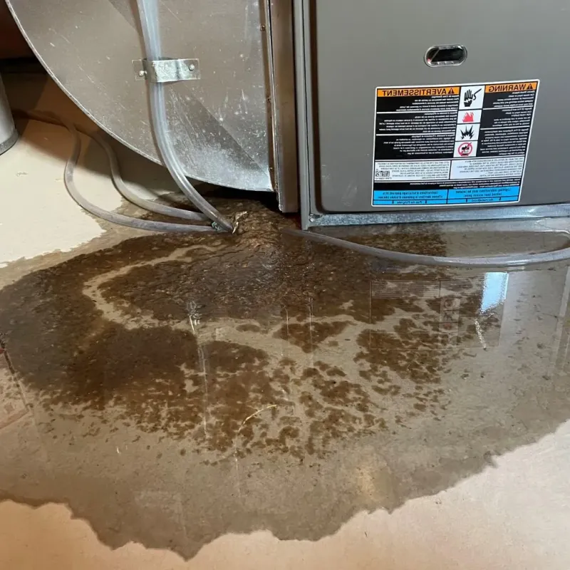 Pipe Burst and Leak Restoration in Crawford County, MI